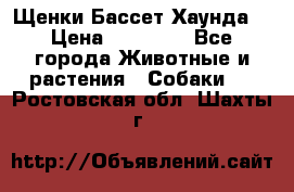 Щенки Бассет Хаунда  › Цена ­ 25 000 - Все города Животные и растения » Собаки   . Ростовская обл.,Шахты г.